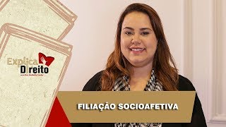 Explica Direito Filiação Socioafetiva  2019 [upl. by Burnaby]